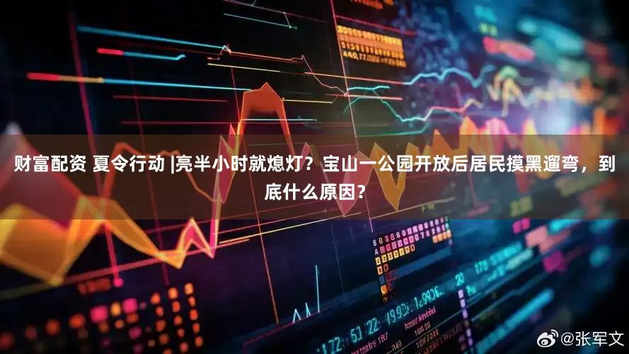 财富配资 夏令行动 |亮半小时就熄灯？宝山一公园开放后居民摸黑遛弯，到底什么原因？