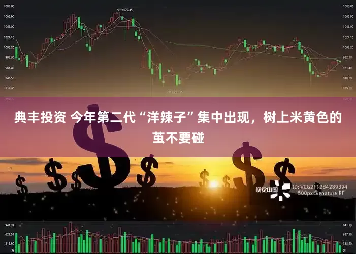 典丰投资 今年第二代“洋辣子”集中出现，树上米黄色的茧不要碰