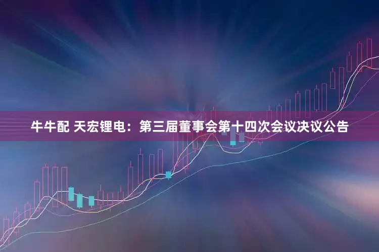 牛牛配 天宏锂电：第三届董事会第十四次会议决议公告